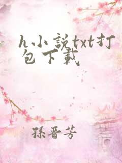 h小说txt打包下载
