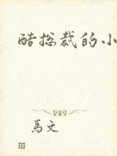 酷总裁的小女佣