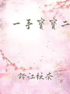 一手宝宝二手妻