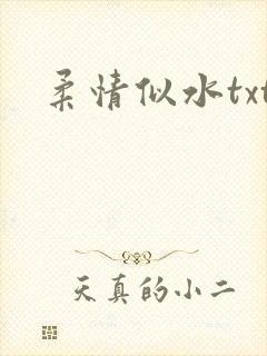 柔情似水txt