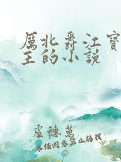 厉北爵江宝宝男主的小说