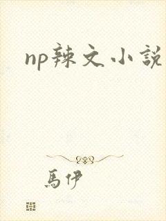 np辣文小说