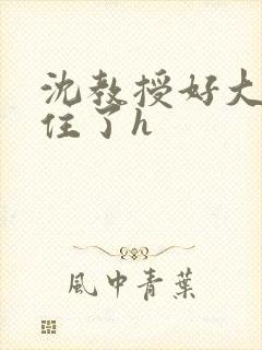 沈教授好大含不住了h