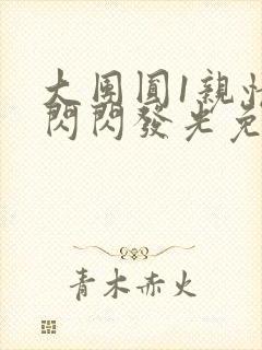 大团圆1亲情会闪闪发光免费