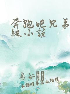 奔跑吧兄弟限制级小说