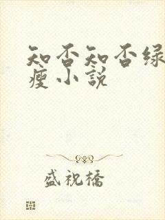 知否知否绿肥红瘦小说