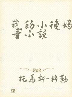 我的小后妈免费看小说