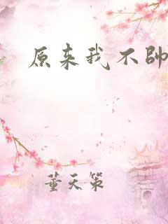 原来我不帅小说