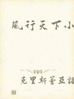 风行天下小说