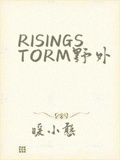 RISINGSTORM野外