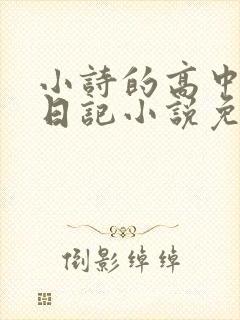 小诗的高中成长日记小说免费阅读