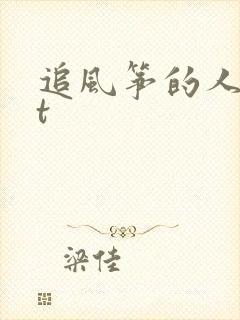 追风筝的人txt