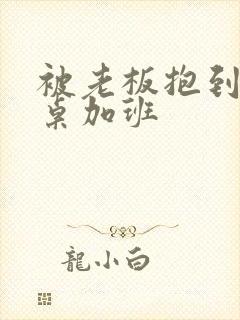 被老板抱到办公桌加班