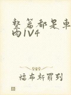 整篇都是车的多肉1V4