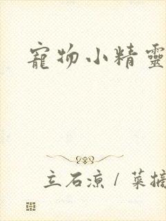 宠物小精灵漫画