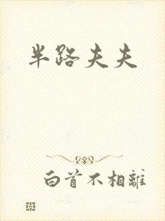 半路夫夫