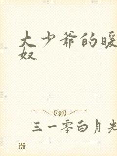 大少爷的暖床小奴