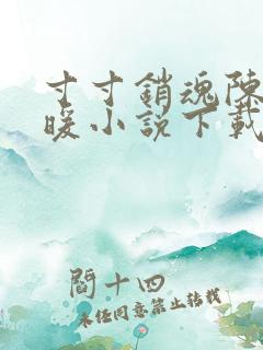 寸寸销魂陈聪王暖小说下载