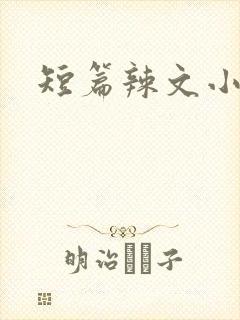 短篇辣文小说