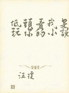 低头看我是怎么玩你的小说