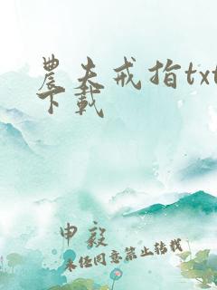 农夫戒指txt下载