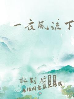 一夜风流下载