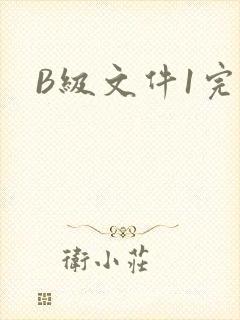 B级文件1完整