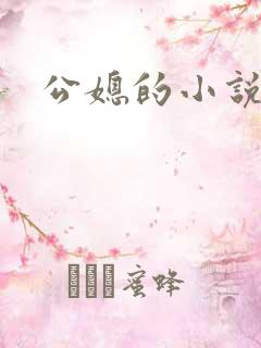 公媳的小说