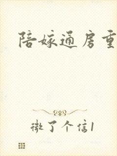 陪嫁通房重生记