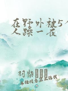 在野外被5个男人躁一夜