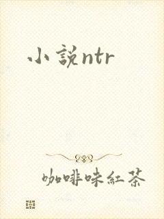 小说ntr