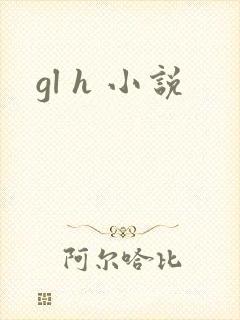 gl h 小说