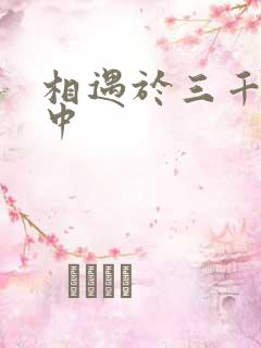 相遇于三千肉文中
