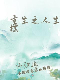 重生之人生新目标