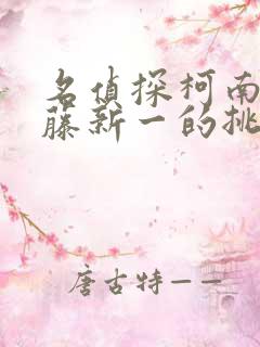 名侦探柯南给工藤新一的挑战书