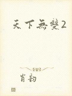 天下无双2