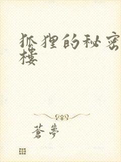 狐狸的秘密19楼