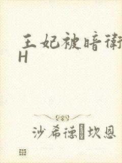 王妃被暗卫肉高H