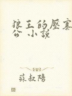 狼王的压寨小相公 小说