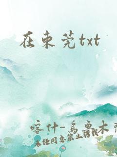 在东莞txt
