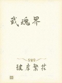 武魂界