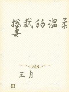 总裁的温柔乖乖妻