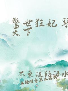 惊世狂妃 琴战天下