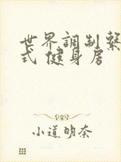 世界调制系统模式 健身房