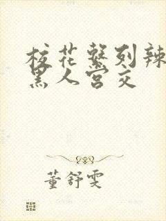 校花系列辣h文黑人宫交