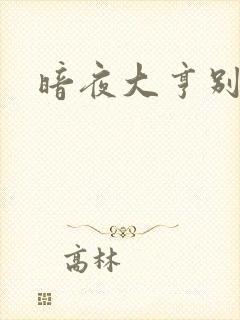 暗夜大亨别烦我