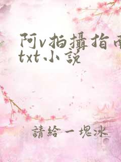 阿v拍摄指南说txt小说