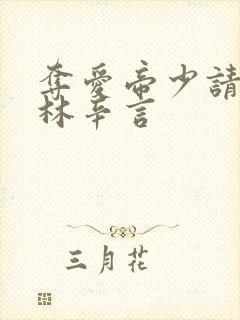 夺爱帝少请放手林辛言