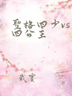 圣格四少vs 四公主