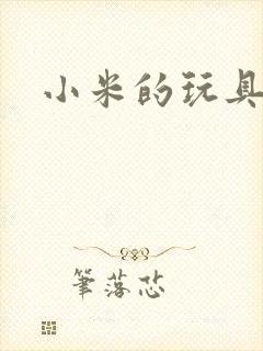 小米的玩具日记